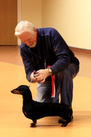 Best In Show