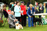 Best Baby Puppy In Show