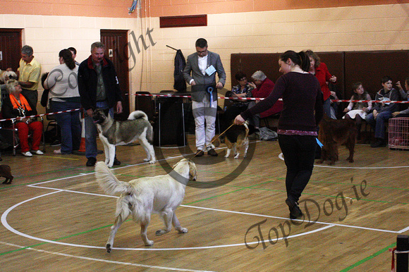Group 8 Winner