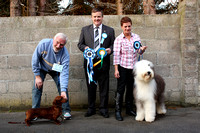 Best In Show
