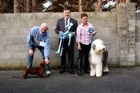 Best In Show