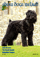 Show Dogs Ireland Issue 22