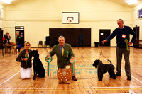 Killarney Open Show
